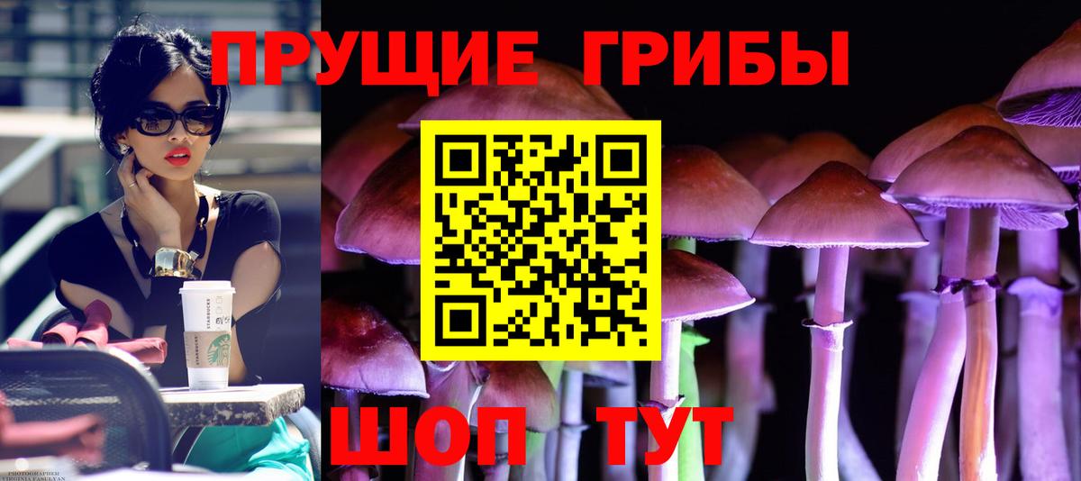 Галлюциногенные грибы ЛСД Кириши
